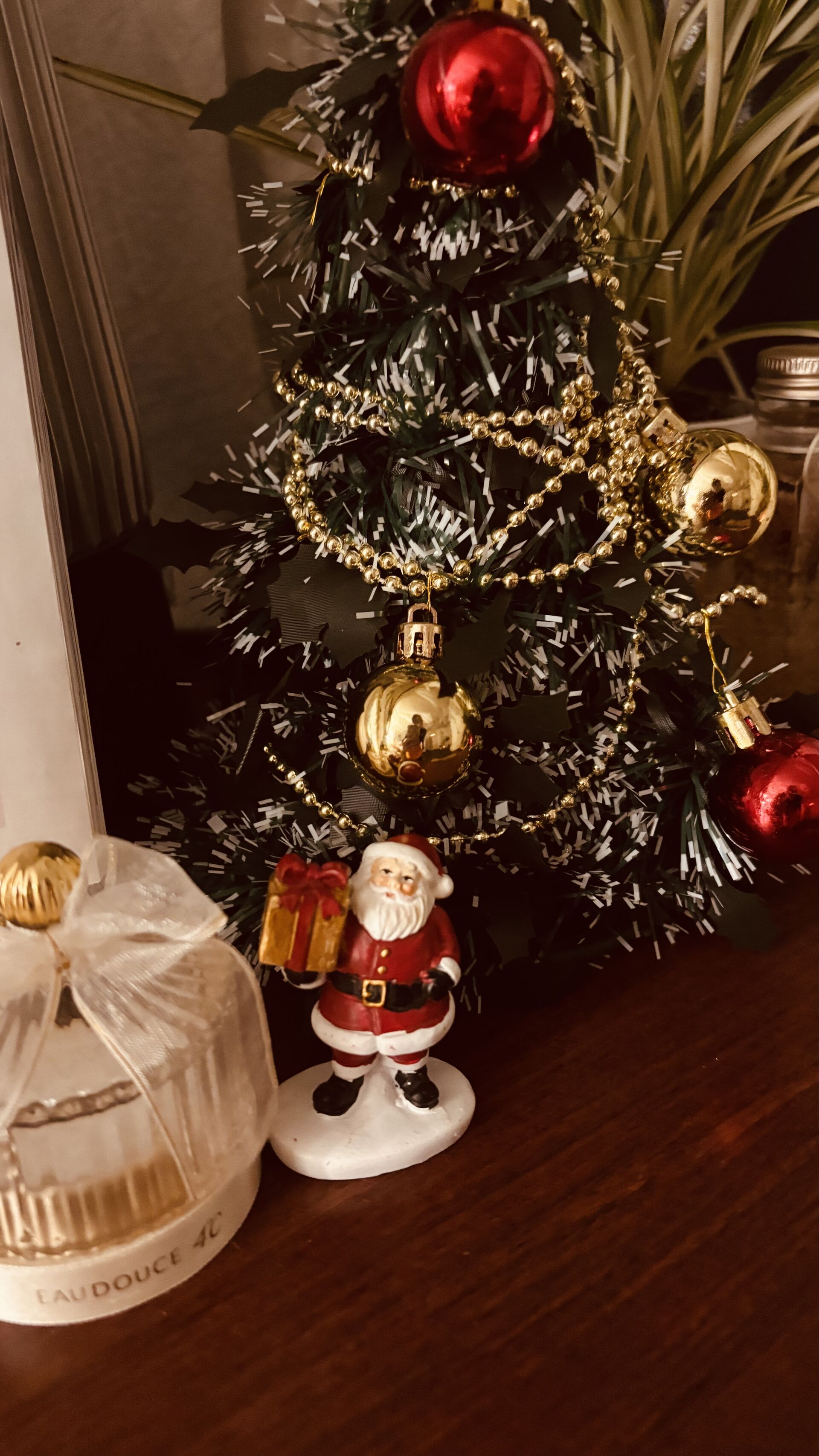 サロン内をクリスマス🎄仕様に(o^^o)